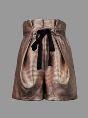 Striped High Waisted Shorts Bottoms