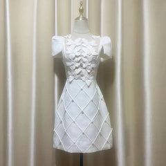 Embroidered A-Line Mini Dress