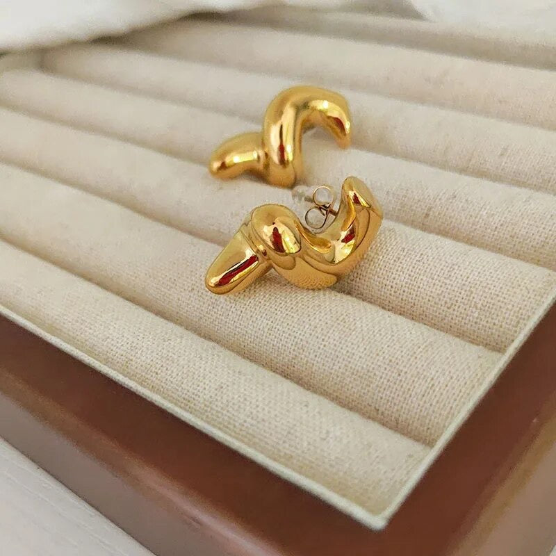 Spiral Chunky Earrings