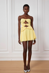 Nyra Mesh Cutout Ruffle Mini Dress In Yellow