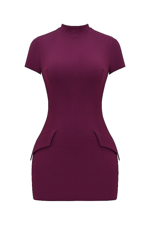 SOFIA - SHORT SLEEVE FORM FITTING STRETCH DRESS