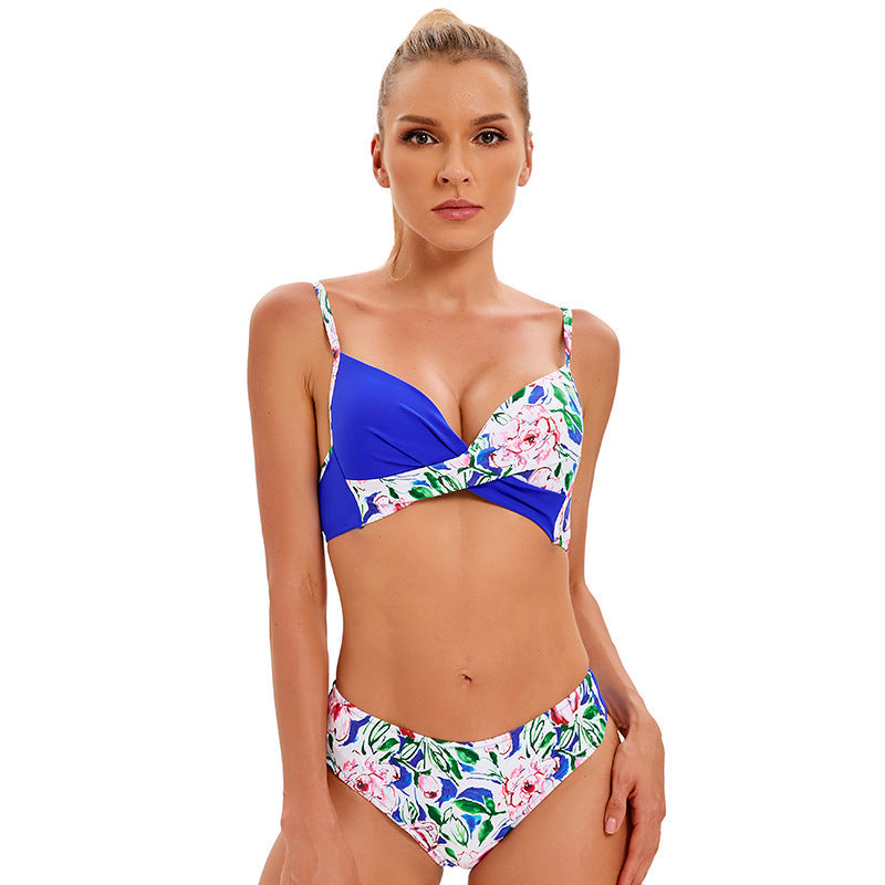 Printed Bikini Ladies Sexy Split Swimsuit